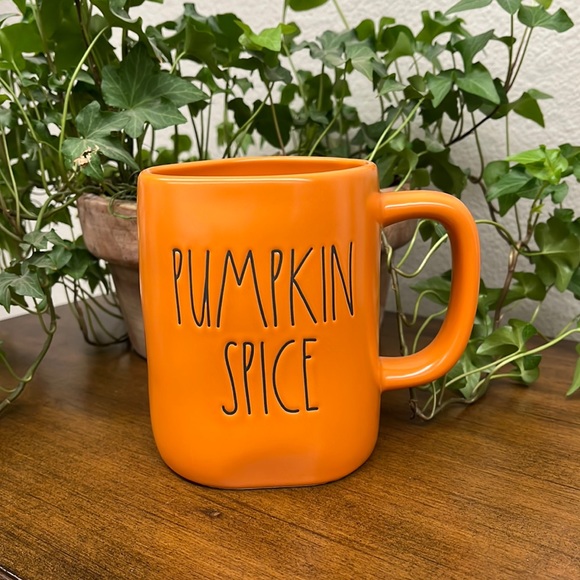 Rae Dunn Other - 🥳HP🥳 Rae Dunn “PUMPKIN SPICE / EVERYTHING NICE” 2 Sided Mug
